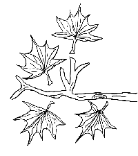 Malvorlagen Blätter Ausmalbilder