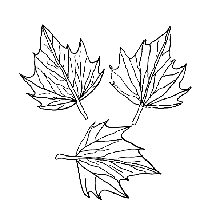 Malvorlagen Blätter Ausmalbilder