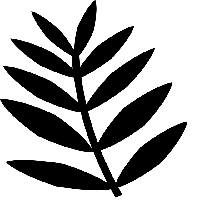 Malvorlage Schablone Pflanze