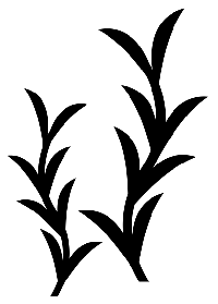 Malvorlage Schablone Pflanze