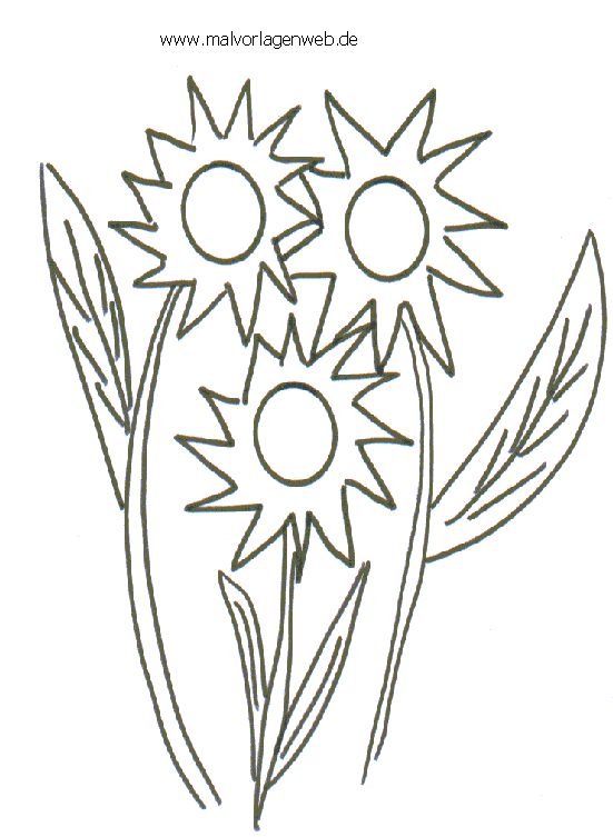 Coloring book pages plants