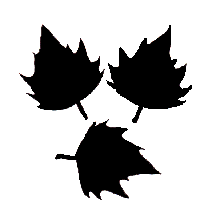 Malvorlage Schablone Blätter